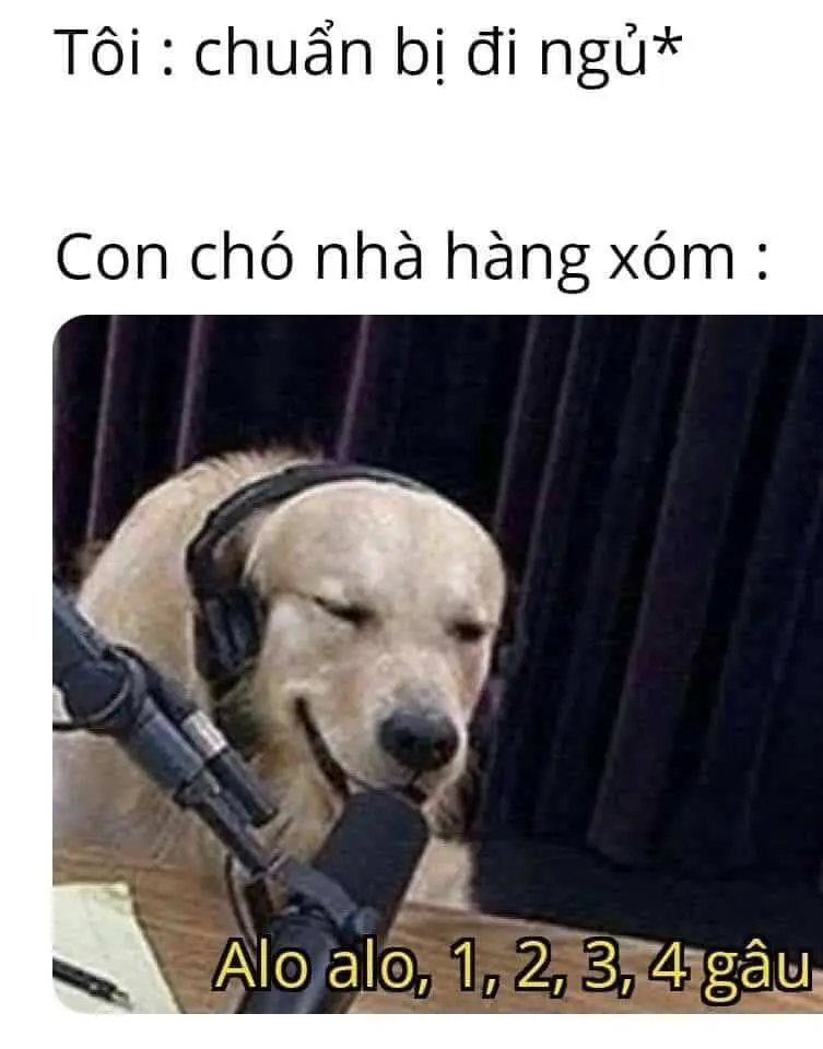 Meme đi ngủ chế hoạt hình với nét mặt mệt mỏi