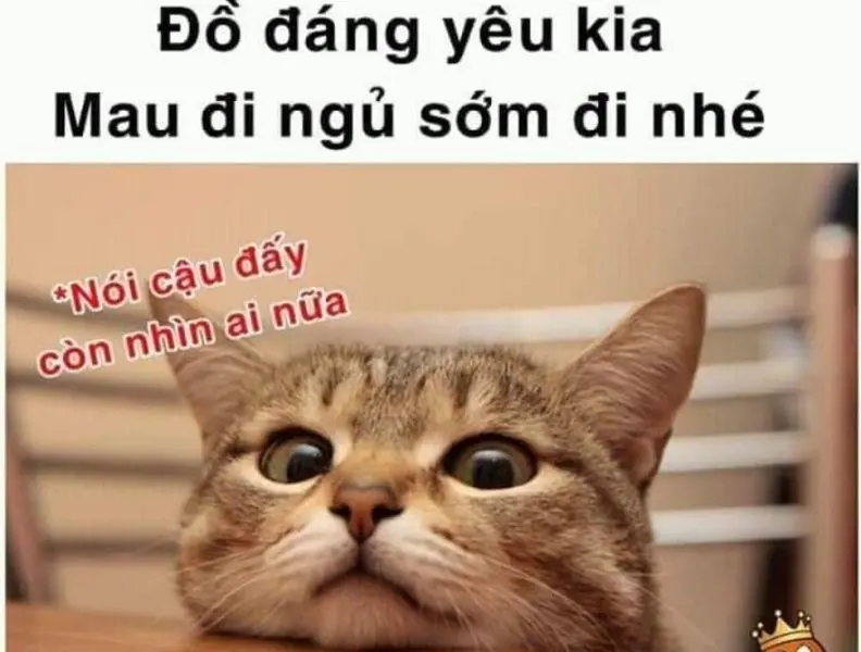 Meme đi ngủ chế hoạt hình lan truyền mạnh mẽ