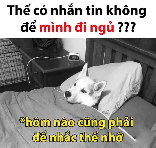 Meme đi ngủ chế hoạt hình làm người xem bật cười