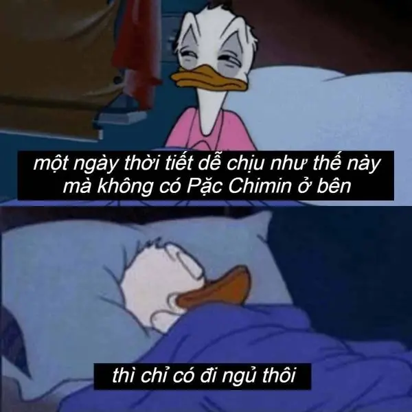 Meme đi ngủ chế hoạt hình với vẻ mặt ngái ngủ