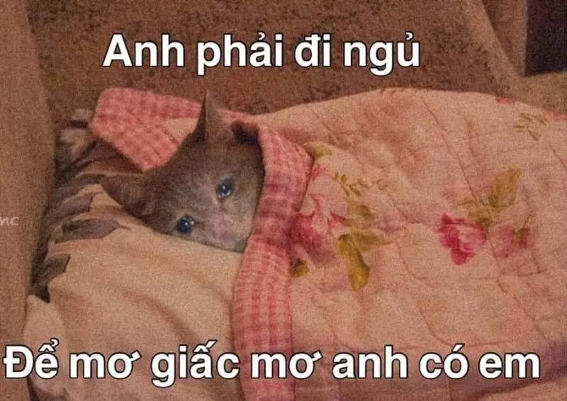 Meme đi ngủ chế hoạt hình khiến người xem thích thú