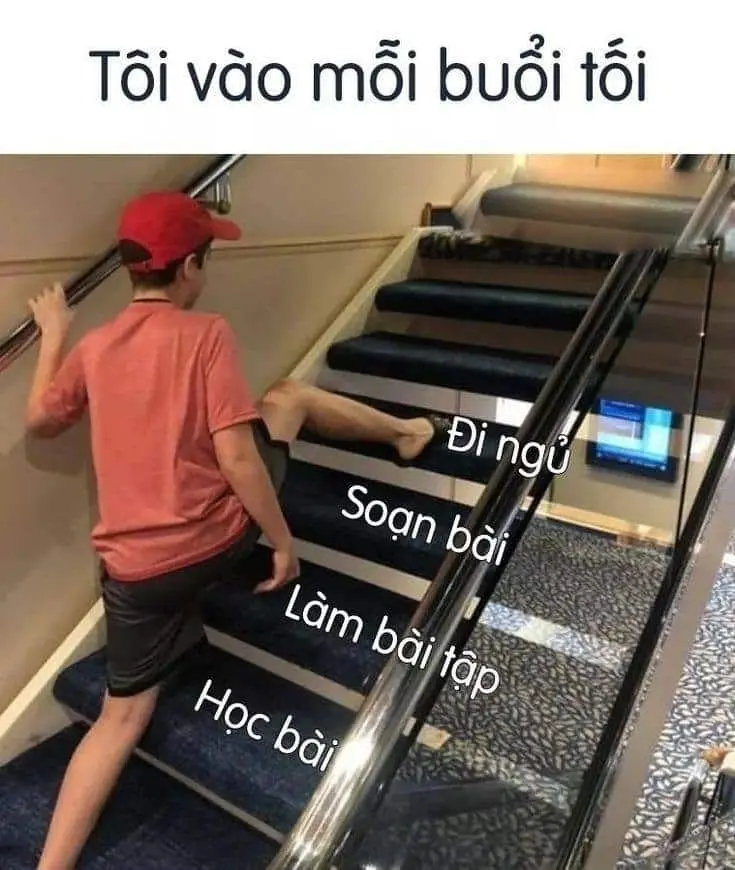 Meme đi ngủ vào mỗi buổi tối của tôi