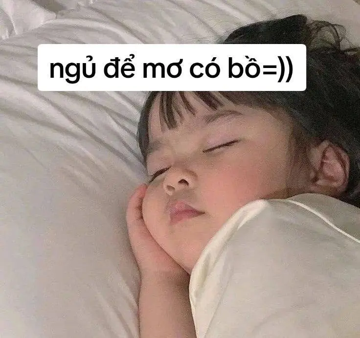 Meme ngủ để mơ có bồ hài hước