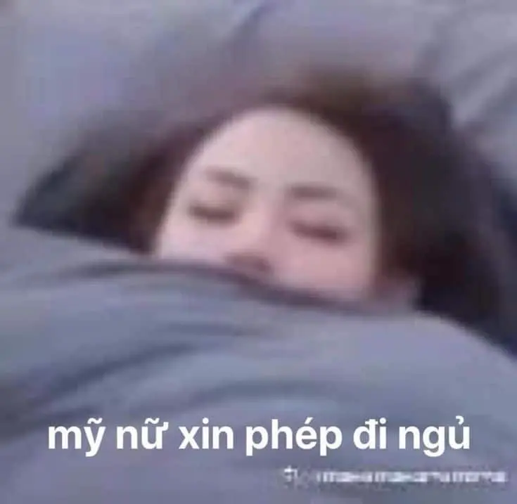 Meme mỹ nữ đi ngủ hài hước và thú vị