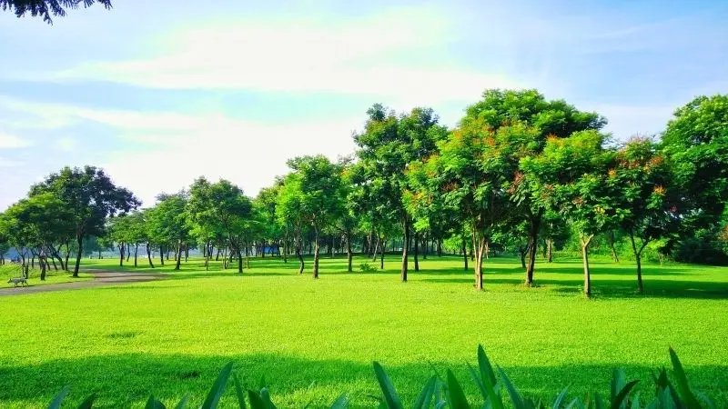 Khám phá vẻ đẹp hoang sơ tại công viên quốc gia hùng vĩ. Khám phá vẻ đẹp hoang sơ tại công viên quốc gia hùng vĩ.