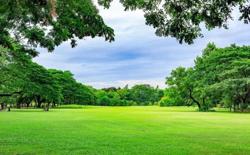 Hòa mình vào thiên nhiên hoang sơ tại công viên quốc gia. Hòa mình vào thiên nhiên hoang sơ tại công viên quốc gia.