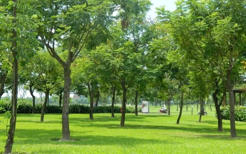 Cảnh quan hoang sơ ở công viên quốc gia, một nơi tuyệt vời để thư giãn. Cảnh quan hoang sơ ở công viên quốc gia, một nơi tuyệt vời để thư giãn.