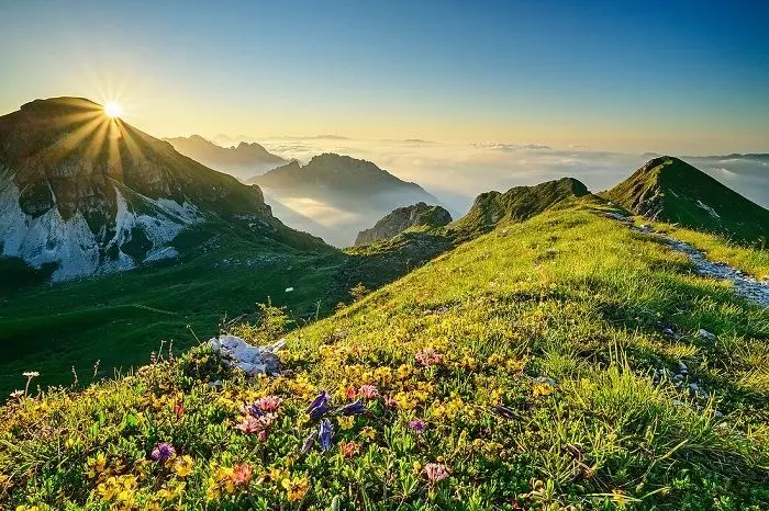 Thiên nhiên hoang sơ tại công viên quốc gia, điểm đến lý tưởng. Thiên nhiên hoang sơ tại công viên quốc gia, điểm đến lý tưởng.