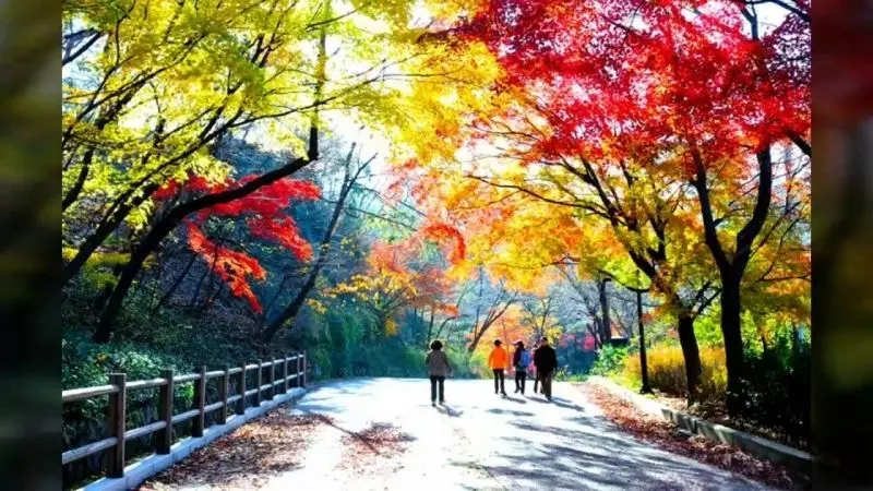 Thiên nhiên hoang sơ tại công viên quốc gia, nơi an yên cho tâm hồn. Thiên nhiên hoang sơ tại công viên quốc gia, nơi an yên cho tâm hồn.