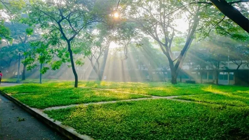 vKhám phá công viên quốc gia với cảnh hoang sơ và yên bình. vKhám phá công viên quốc gia với cảnh hoang sơ và yên bình.