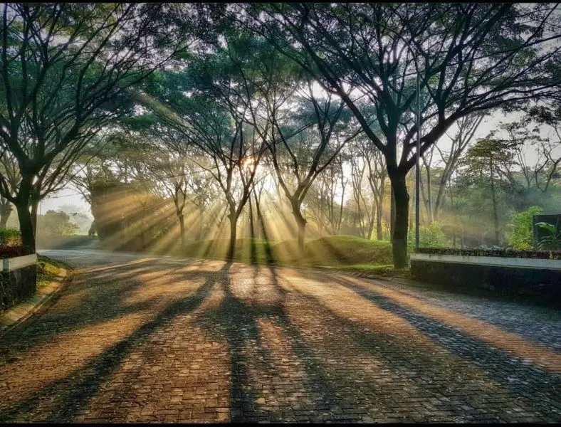 Thưởng thức cảnh đẹp hoang sơ trong công viên quốc gia nổi tiếng. Thưởng thức cảnh đẹp hoang sơ trong công viên quốc gia nổi tiếng.