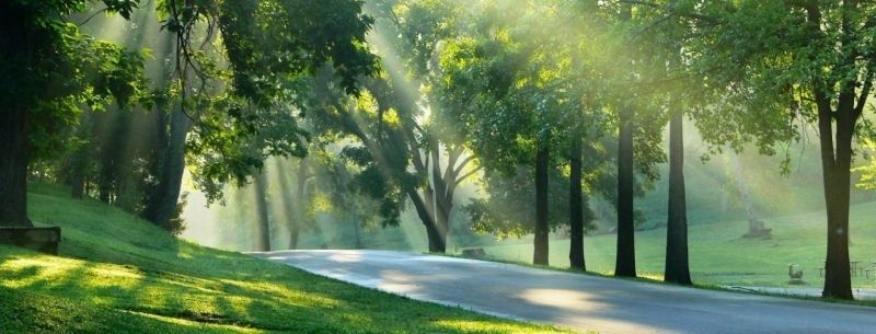 Khung cảnh thiên nhiên hoang sơ, bình yên giữa công viên quốc gia. Khung cảnh thiên nhiên hoang sơ, bình yên giữa công viên quốc gia.