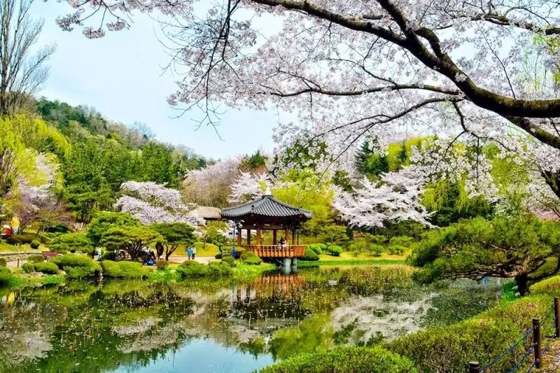 Tận hưởng phong cảnh hồ nước mùa thu, sắc lá chuyển màu rực rỡ. Tận hưởng phong cảnh hồ nước mùa thu, sắc lá chuyển màu rực rỡ.