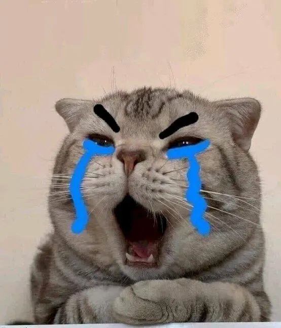 Meme buồn với khuôn mặt khóc cười Meme buồn với khuôn mặt khóc cười