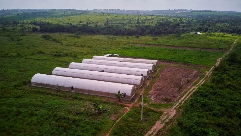 Chiêm ngưỡng phong cảnh trang trại xanh mướt, nơi cuộc sống hòa quyện với thiên nhiên. Chiêm ngưỡng phong cảnh trang trại xanh mướt, nơi cuộc sống hòa quyện với thiên nhiên.