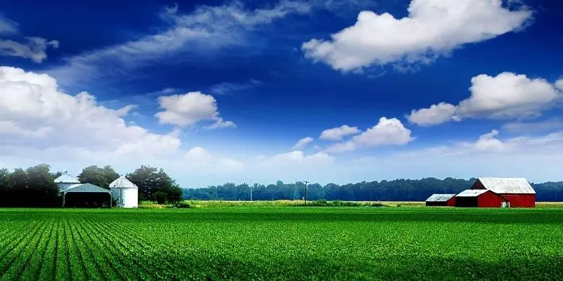 Phong cảnh trang trại xanh mướt, nơi cây cối và đất đai giao hòa trong sự phát triển. Phong cảnh trang trại xanh mướt, nơi cây cối và đất đai giao hòa trong sự phát triển.