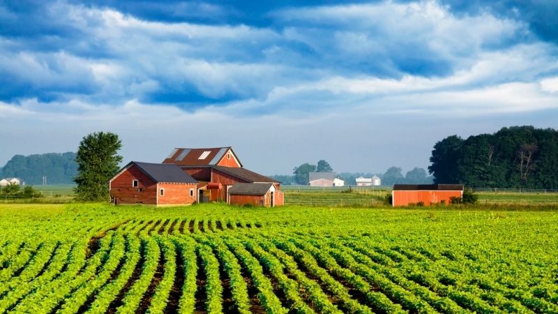 Vẻ đẹp của phong cảnh trang trại xanh mướt giữa lòng thiên nhiên hoang dã. Vẻ đẹp của phong cảnh trang trại xanh mướt giữa lòng thiên nhiên hoang dã.