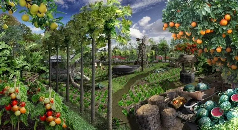 Khám phá phong cảnh vườn cây ăn trái rợp mát và đắm chìm trong không gian xanh. Khám phá phong cảnh vườn cây ăn trái rợp mát và đắm chìm trong không gian xanh.