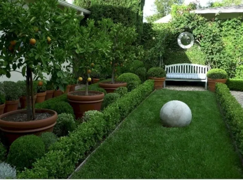 Phong cảnh vườn cây ăn trái rợp mát với tán lá dày che phủ, không gian thoải mái. Phong cảnh vườn cây ăn trái rợp mát với tán lá dày che phủ, không gian thoải mái.