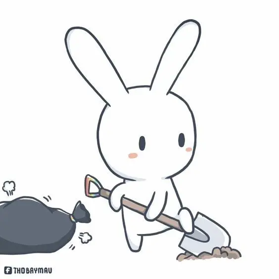 Thỏ bảy màu avatar, giúp bạn nổi bật với phong cách vui nhộn Thỏ bảy màu avatar, giúp bạn nổi bật với phong cách vui nhộn