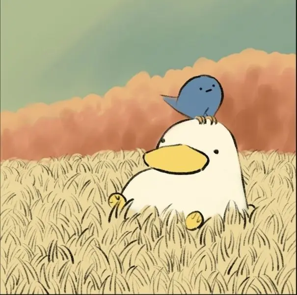 Ảnh avatar con vịt cute, tạo cảm giác thư giãn và vui tươi Ảnh avatar con vịt cute, tạo cảm giác thư giãn và vui tươi