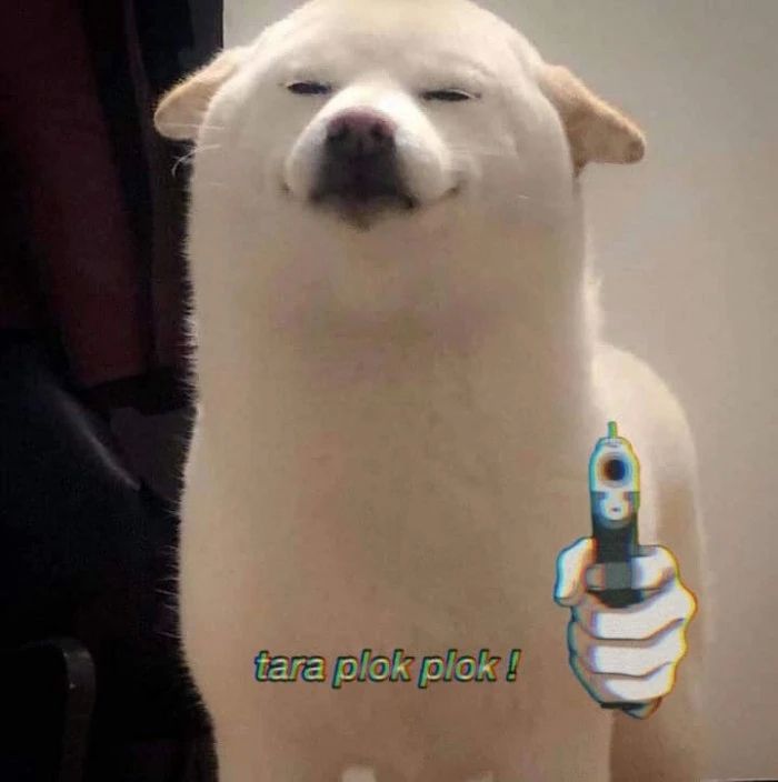 Meme chó cười đau bụng