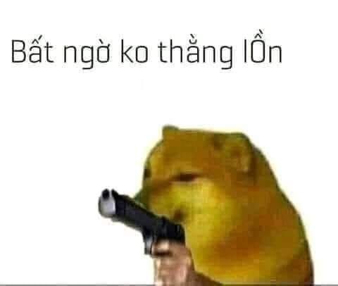 Cười thả ga với meme chó