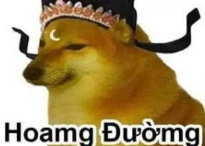 Meme chó cực dễ thương và hài hước