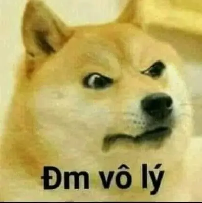 meme chó vô lý hài hước 