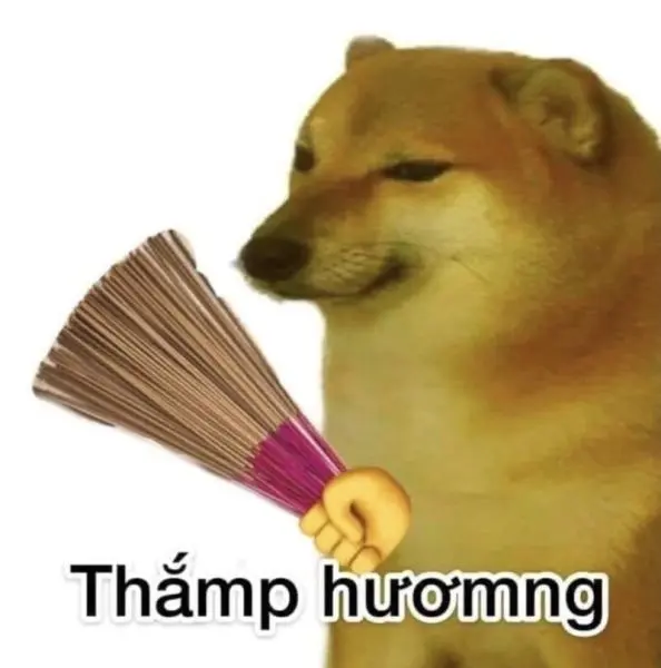 Meme chó ngộ nghĩnh không thể bỏ qua