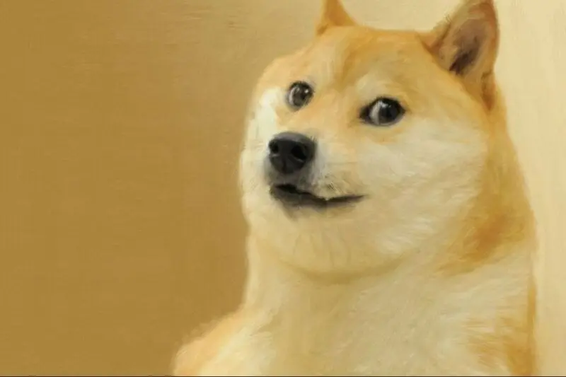 Meme chó ngộ nghĩnh làm bạn cười