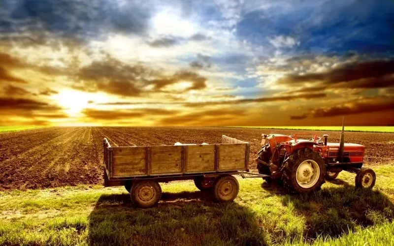 Mùa gặt trên cánh đồng vàng, phong cảnh đẹp khó cưỡng Mùa gặt trên cánh đồng vàng, phong cảnh đẹp khó cưỡng
