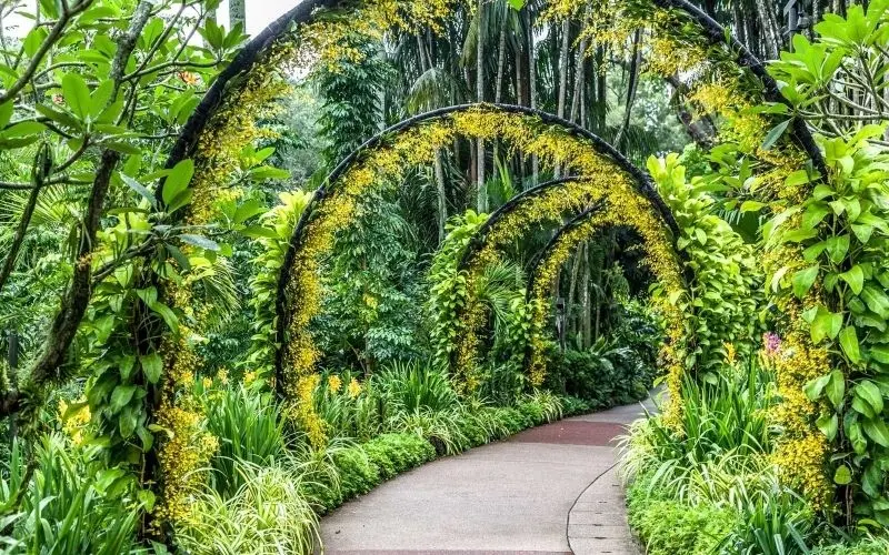Cảnh sắc yên bình của vườn cây xanh mát làm say đắm lòng người. Cảnh sắc yên bình của vườn cây xanh mát làm say đắm lòng người.