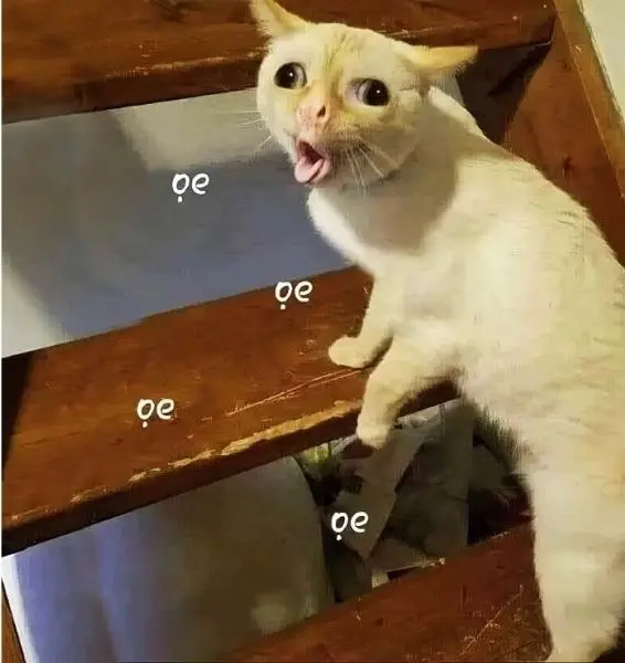 Meme chê là cách để chỉ trích mà không gây khó chịu
