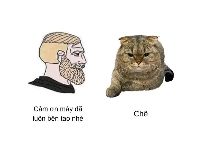 Meme chê khiến bạn phải suy nghĩ lại về những gì đang xảy ra