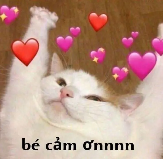 Meme cảm ơn cute đáng yêu tạo không khí vui tươi