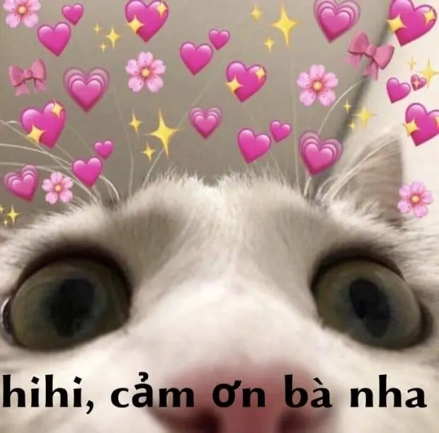 Meme cảm ơn cute đáng yêu đầy tình cảm