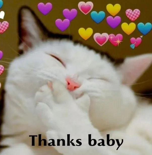 Meme cảm ơn cute đáng yêu khiến bạn vui lên