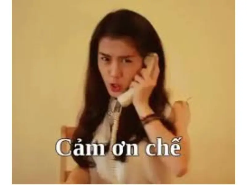 Meme cảm ơn cute đáng yêu cho bạn bè và người thân