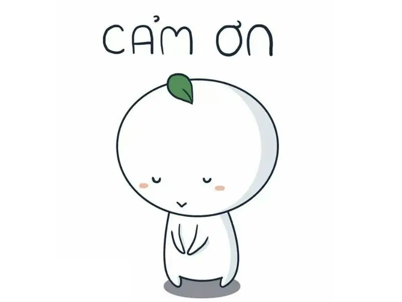 Meme cảm ơn cute đáng yêu làm ai cũng thích