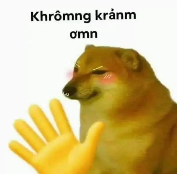 Meme cảm ơn cute đáng yêu dễ thương và gần gũi