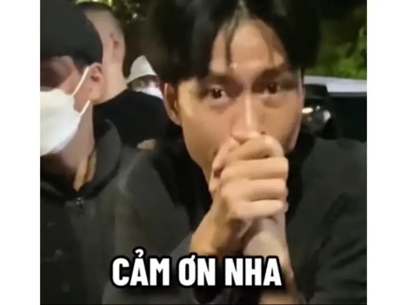 Meme cảm ơn cute đáng yêu với biểu cảm chân thành