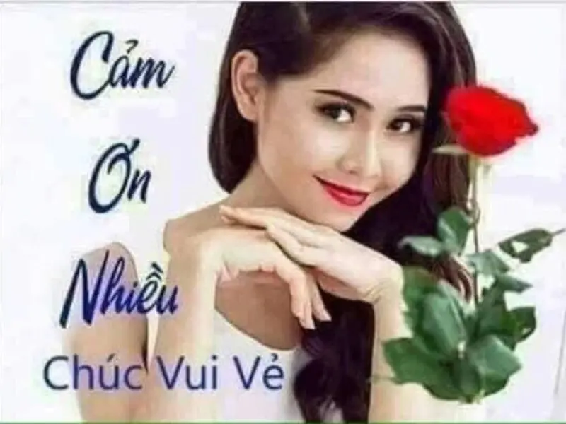 Meme cảm ơn cute đáng yêu dành tặng bạn bè