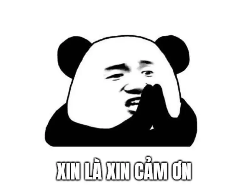 Meme cảm ơn cute đáng yêu với sự dễ thương