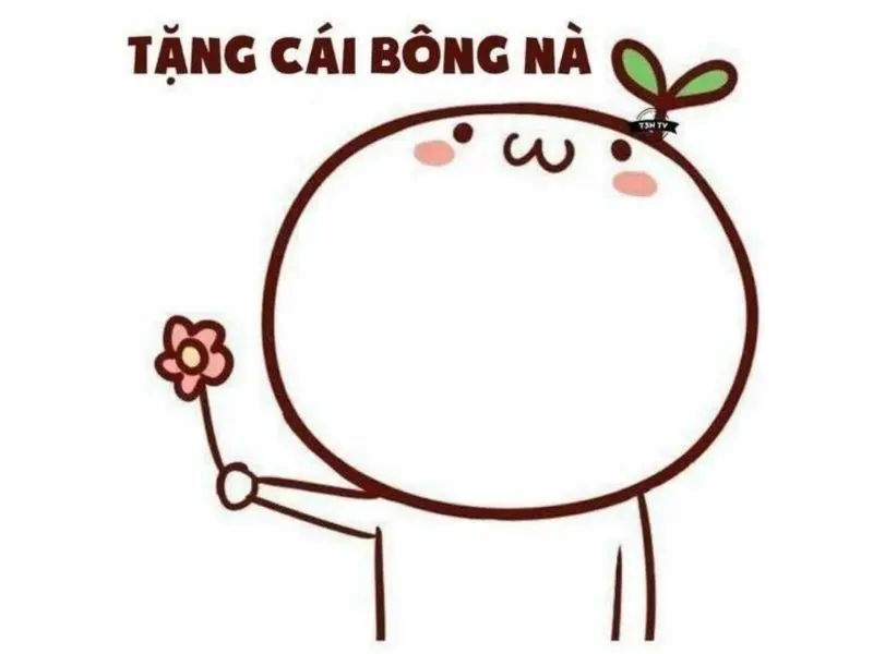 Meme cảm ơn cute đáng yêu cho mọi người