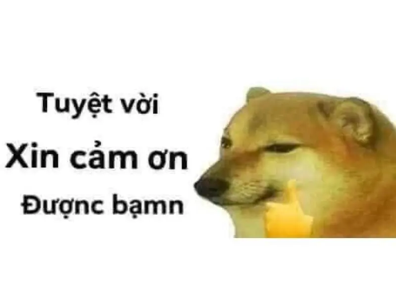 Meme cảm ơn cute đáng yêu cho những khoảnh khắc vui vẻ