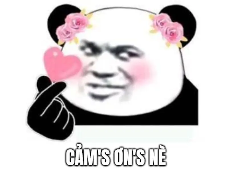 Meme cảm ơn cute đáng yêu với hình ảnh độc đáo