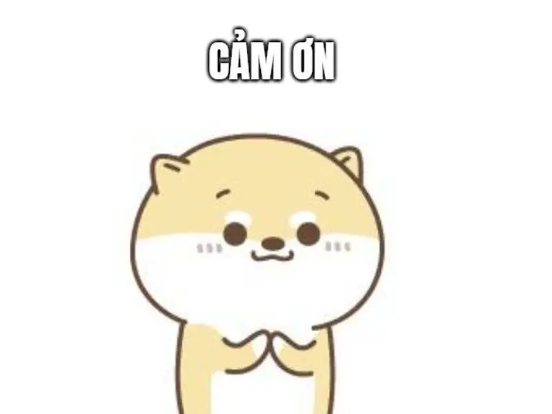 Meme cảm ơn cute đáng yêu cho ngày thêm vui vẻ