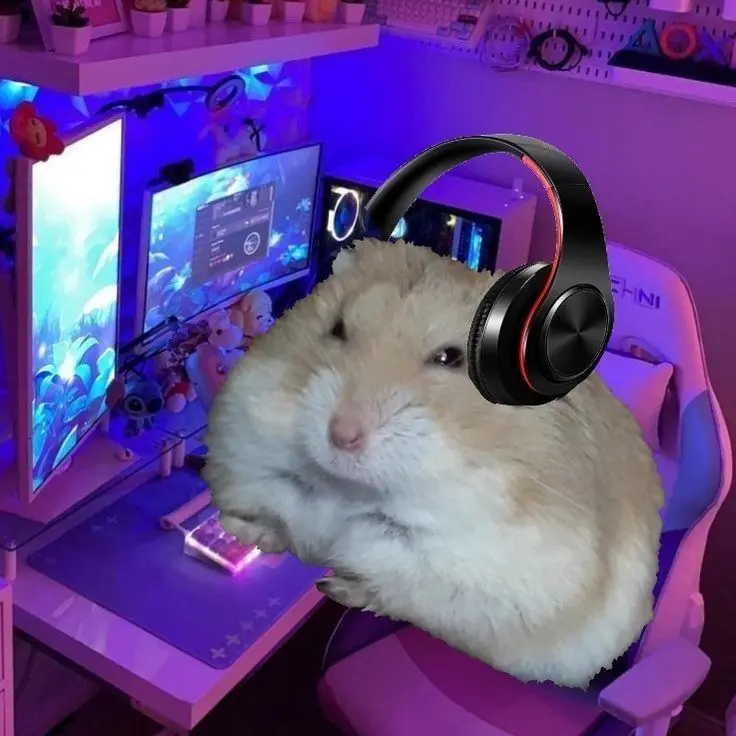 Hamster meme đeo tai nghe hài hước