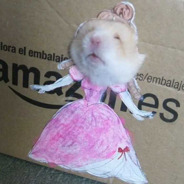 Hamster meme công chúa hài hước